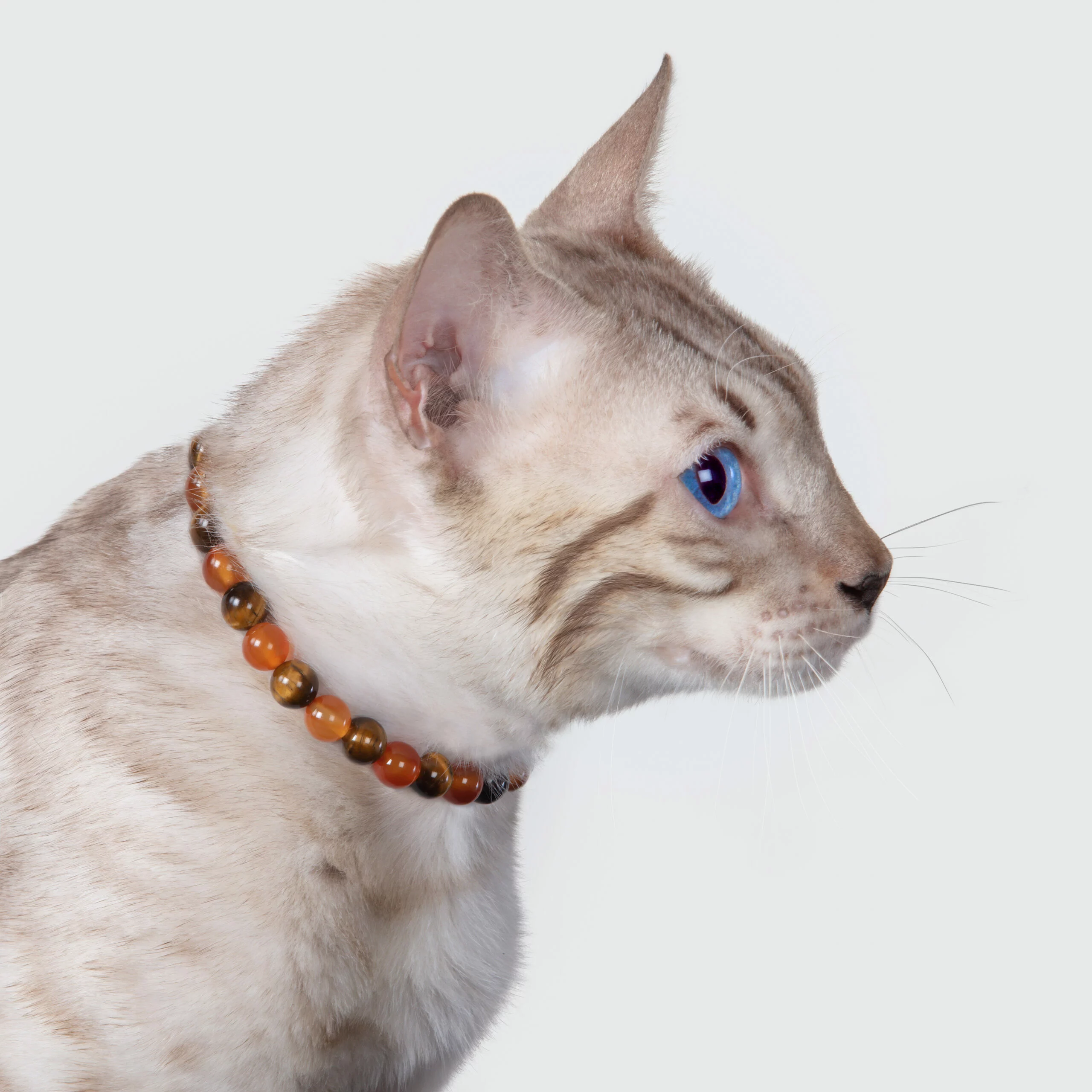 Collier chat anti-tristesse