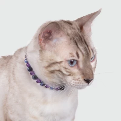 Collier chat anti-stress et anxiété