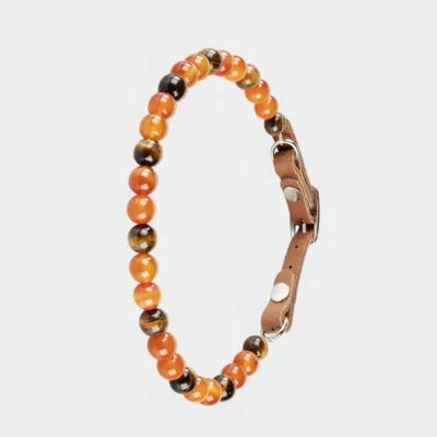 Collier pour chien triste, qui manque de confiance