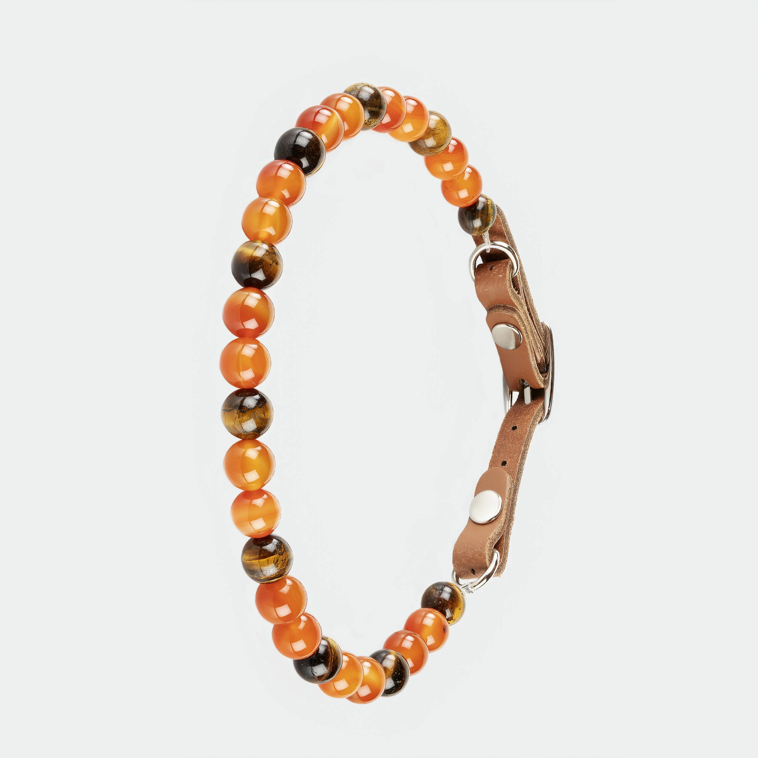 Collier pour chien triste, qui manque de confiance