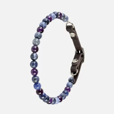 Collier pour chien anxieux ou peureux