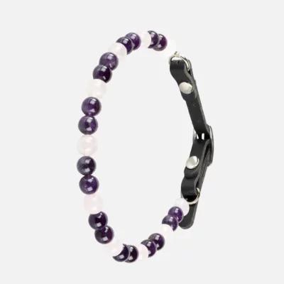 Collier chien anti-traumatisme