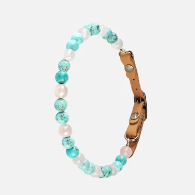 Collier pour chien hypersensible