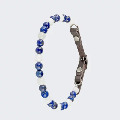 Collier pour chien désobéissant ou peu sociable