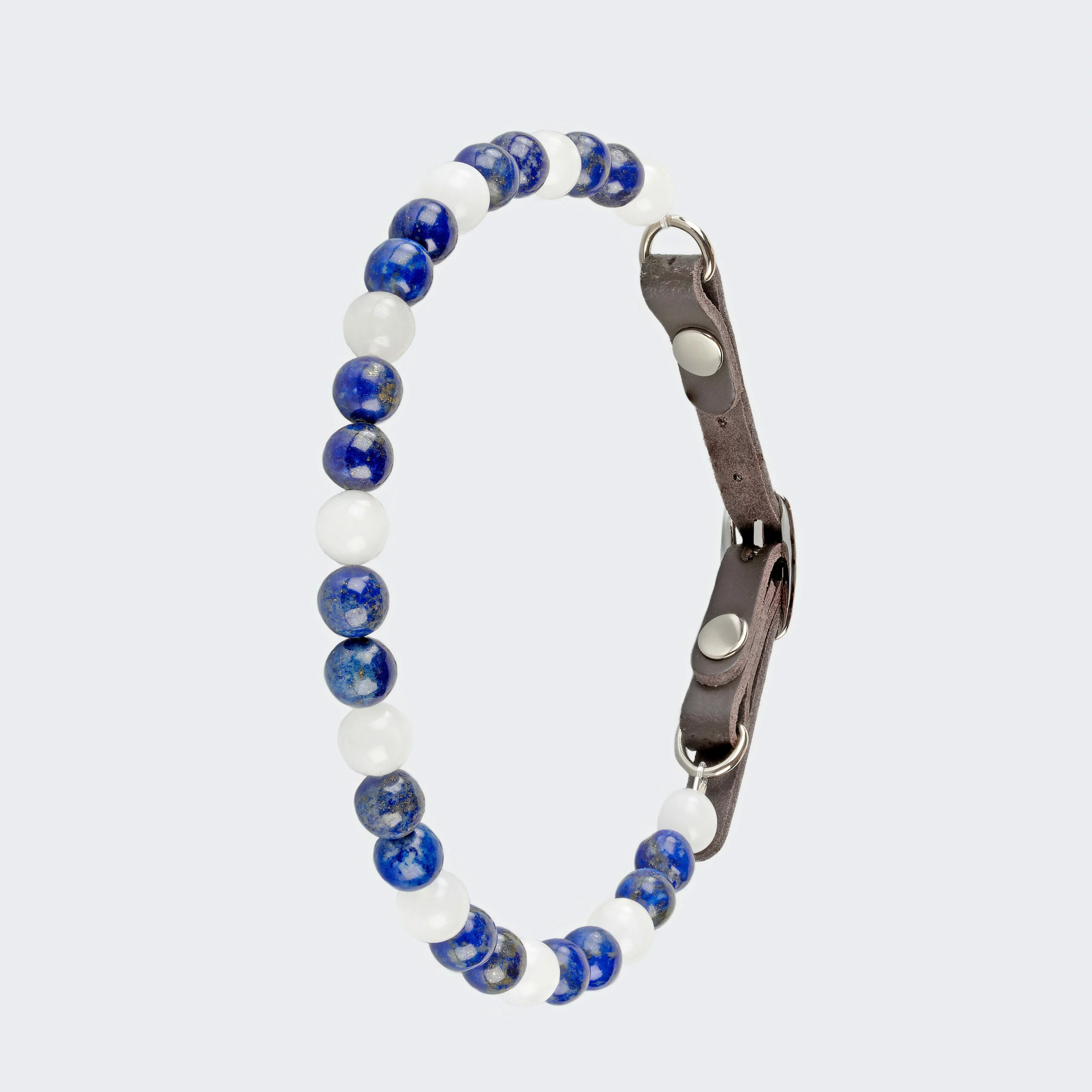 Collier pour chien désobéissant ou peu sociable