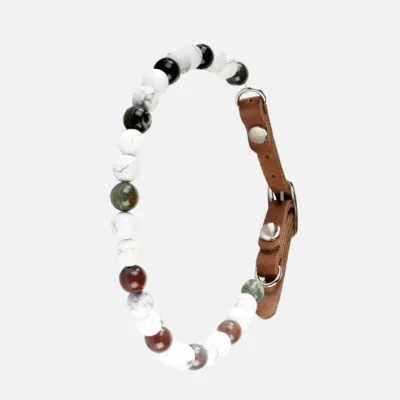 Collier chien anti-agressivité