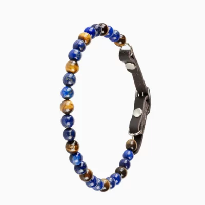 Collier pour chien qui se gratte ou se mordille