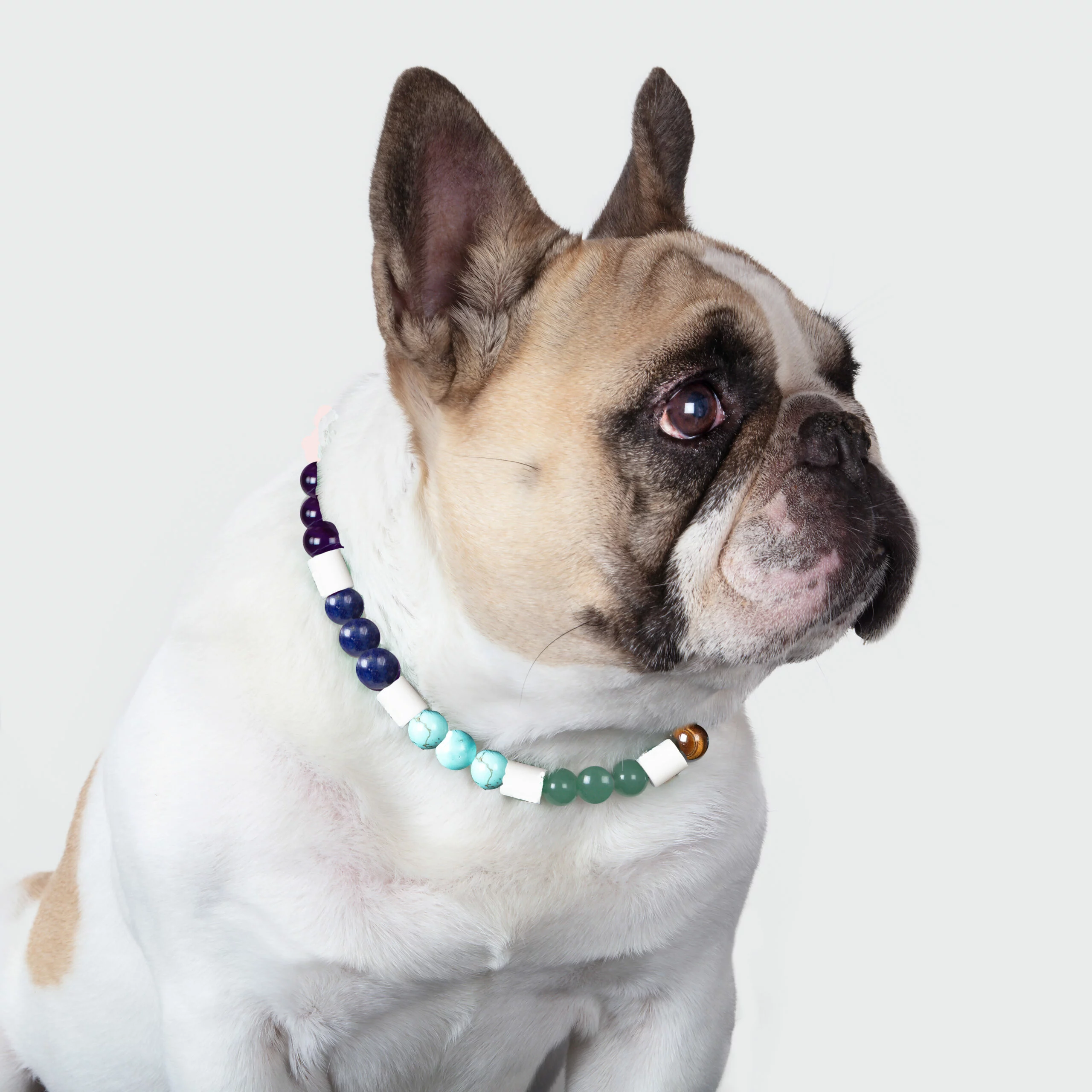 Collier chien rééquilibrant 7 chakras et anti-tiques