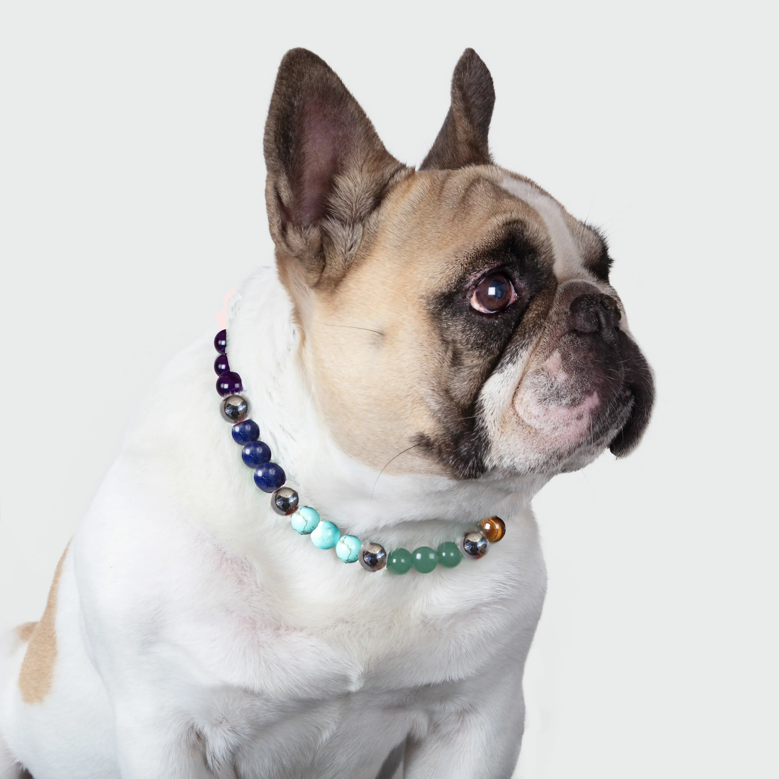 Collier chien rééquilibrant 7 chakras avec Hématite magnétique