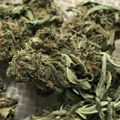 Fleurs de CBD Orange Bud-Saveurs d’agrumes et détente naturelle