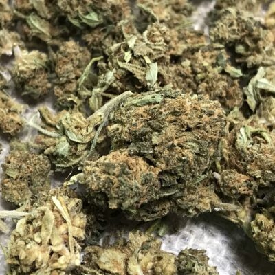 Fleurs de CBD White Widow