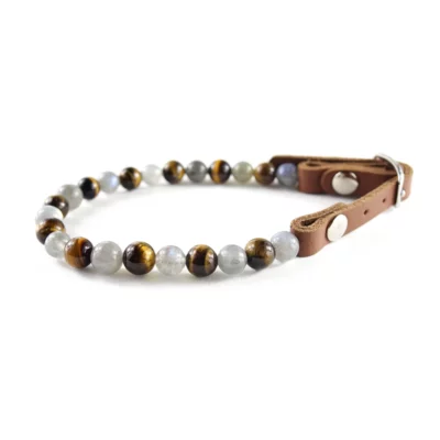Collier chien protection et régénérant