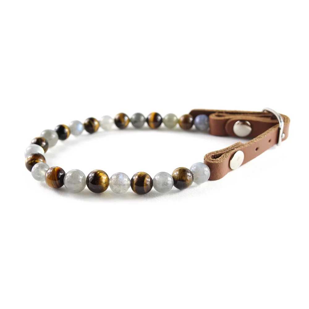Collier chien protection et régénérant