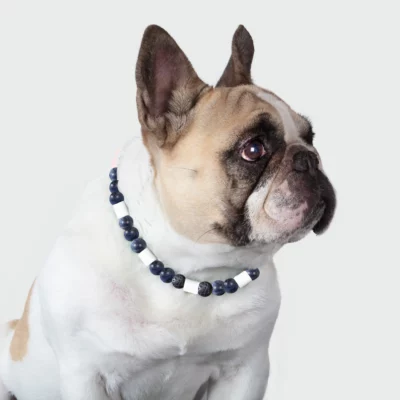 Collier chien anti-anxiété et anti-tiques